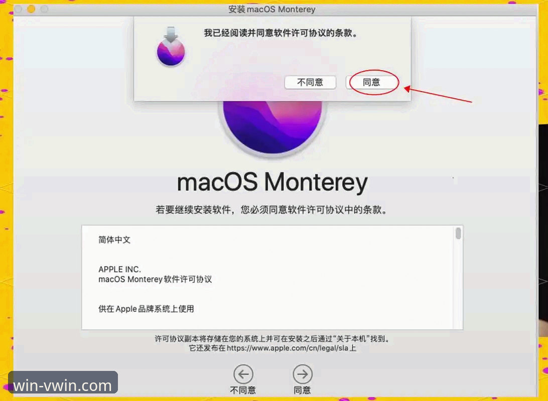 2026必备知识：德赢体育官网最新版本升级实用指南